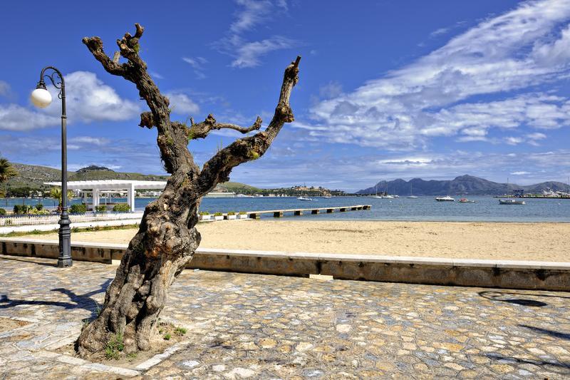 Puerto de Pollensa dónde alojarte en Mallorca